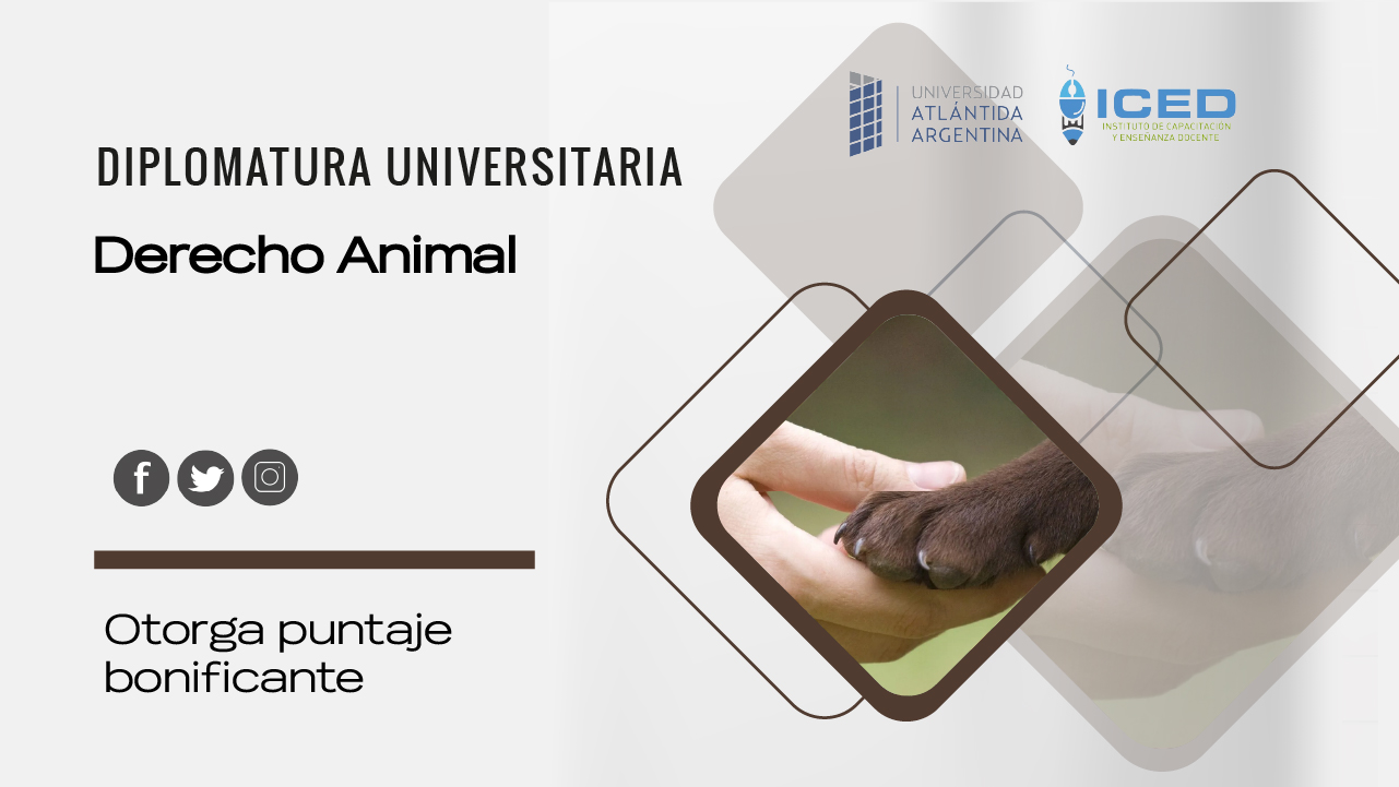 Diplomatura Superior Universitaria en Derecho Animal