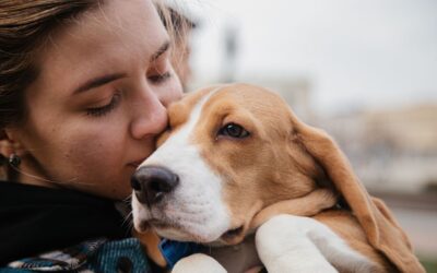 Diplomatura Superior Universitaria en Derecho Animal